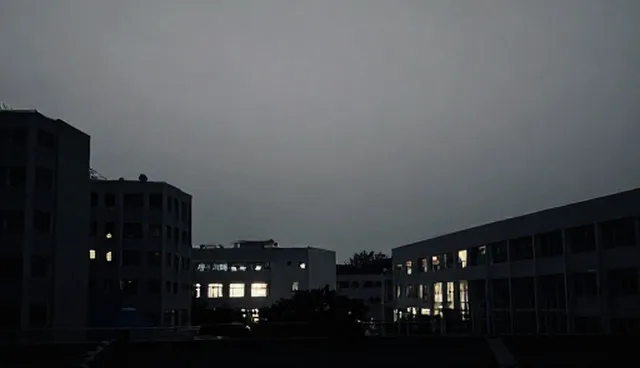 个性化学习：企业定制服务如何提升教辅资料有效性